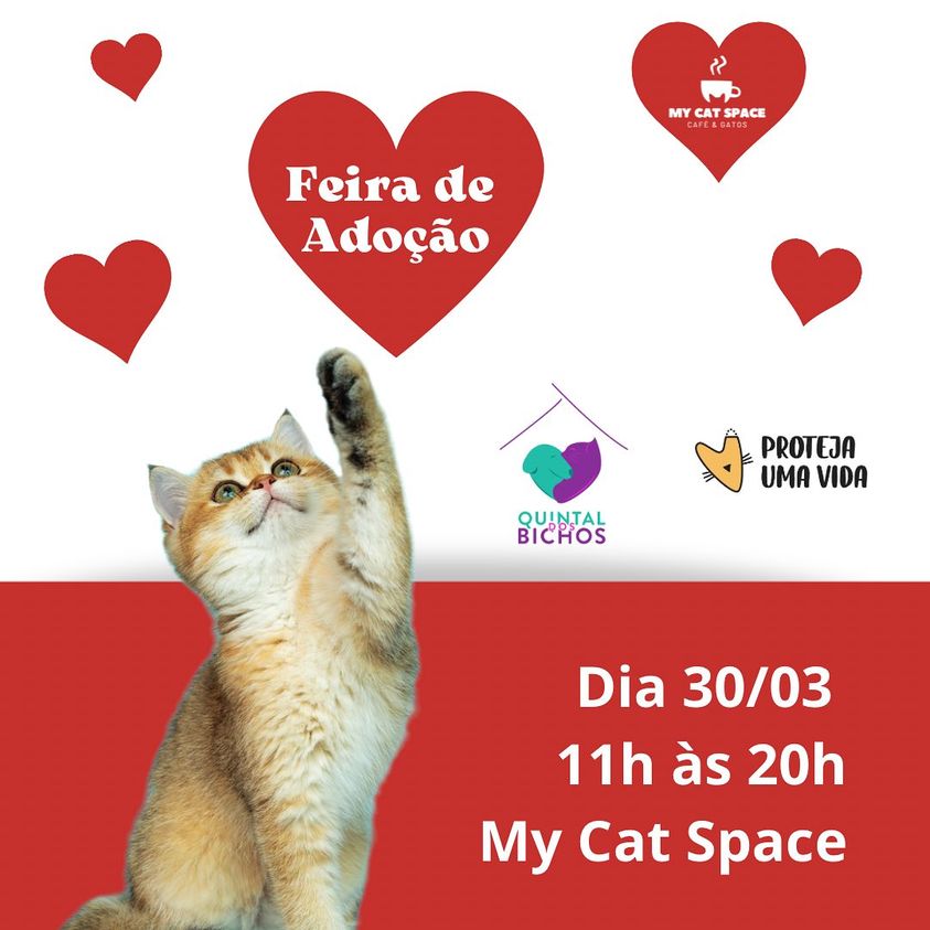 Feira e evento de adoção de cachorros e gatos - Feira de Adoção de Animais em Brasília: Encontre seu Novo Amigo! em Distrito Federal - Brasília
