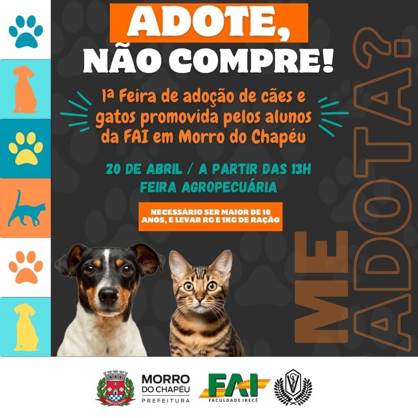 Feira e evento de adoção de cachorros e gatos - Adote um Amigo: Feira de Adoção de Cães e Gatos em Morro do Chapéu em Bahia - Morro do Chapéu