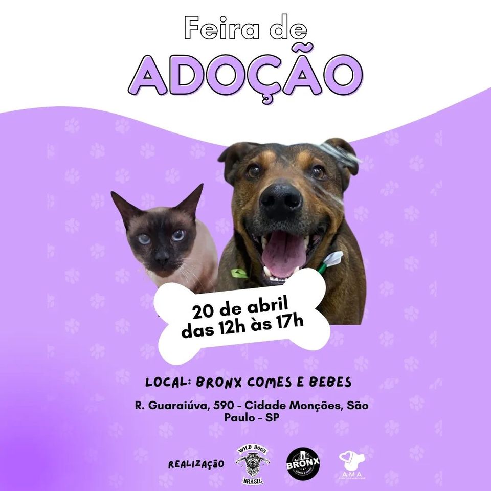 Feira e evento de adoção de cachorros e gatos - Encontre seu Novo Melhor Amigo na Feira de Adoção em SP! em São Paulo - São Paulo