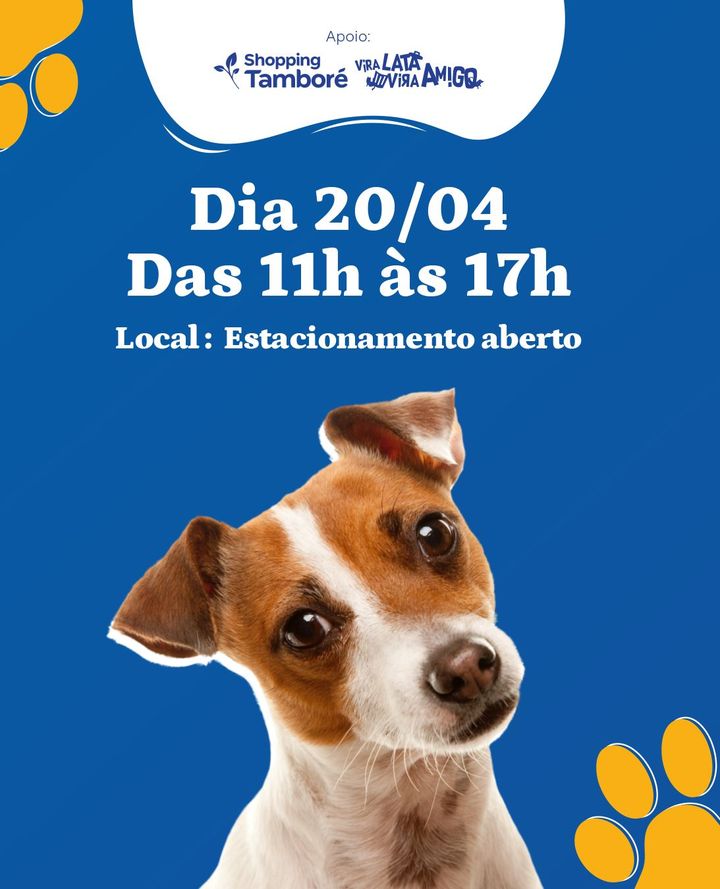 Feira e evento de adoção de cachorros e gatos - Encontro de Corações: Adote um Amigo Peludo em Barueri! em São Paulo - Barueri