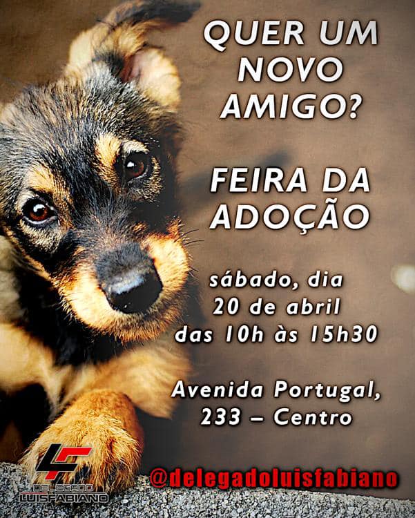 Eventos de adoção de cachorros e gatos - Encontre seu novo melhor amigo na Feira de Adoção em Santo André! em SP - Santo André