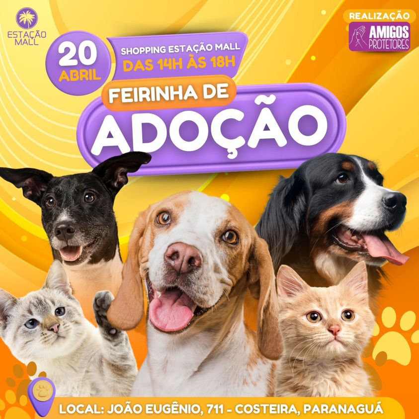 Feira e evento de adoção de cachorros e gatos - Feirinha de Adoção: Encontre seu Novo Melhor Amigo em Paranaguá! em Paraná - Paranaguá