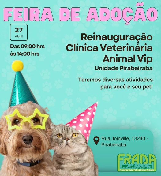 Eventos de adoção de cachorros e gatos -  em SC - Joinville