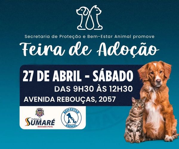 Eventos de adoção de cachorros e gatos -  em SP - Sumaré