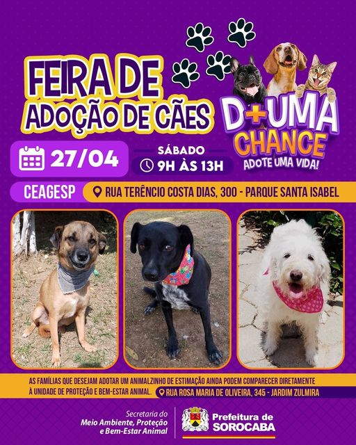 Feira e evento de adoção de cachorros e gatos -  em São Paulo - Sorocaba