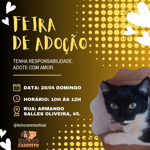Feira e evento de adoção de cachorros e gatos -  em São Paulo - Leme