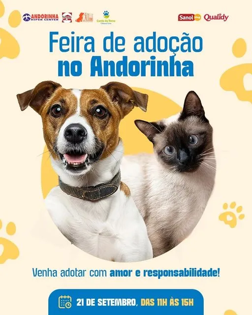 Feira de Adoção de Animais: Encontre seu Novo Amigo!