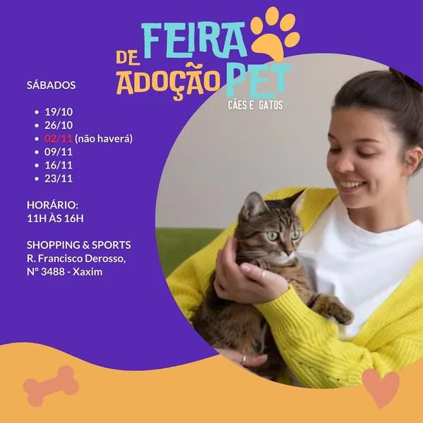 Encontre seu Novo Amigo na Feira de Adoção Pet em Curitiba!