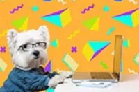 Tecnologia a Favor dos Pets: Uma Nova Era de Cuidado, Segurança e Conexão
