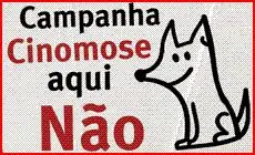 Merial e WSPA Brasil juntas contra a Cinomose