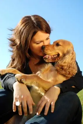 Contato com Cães libera hormônio ligado ao Amor
