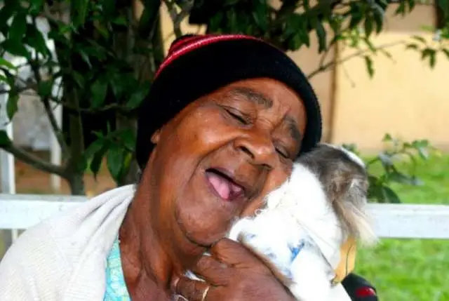 Cães terapeutas visitam abrigo de idosos carentes no Rio de Janeiro
