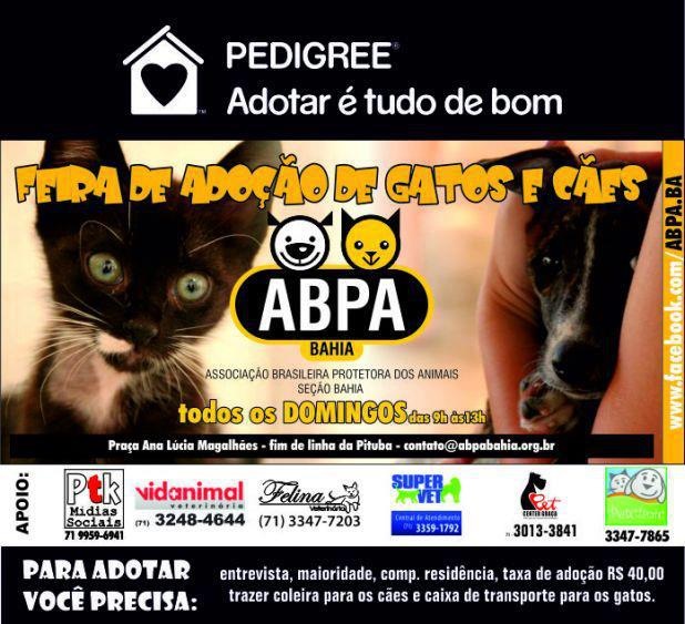Feira e evento de adoção de cachorros e gatos -  em Bahia - Salvador