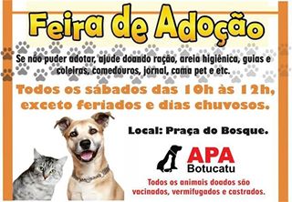 Feira e evento de adoção de cachorros e gatos em Botucatu - São Paulo