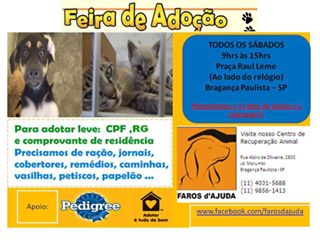 Feira e evento de adoção de cachorros e gatos em Bragança Paulista - São Paulo