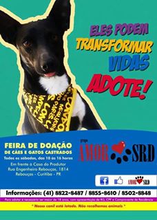 Feira e evento de adoção de cachorros e gatos em Curitiba - Paraná