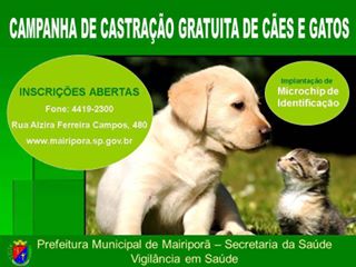 Feira e evento de adoção de cachorros e gatos em Mairiporã - São Paulo