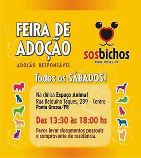 Feira e evento de adoção de cachorros e gatos em Ponta Grossa - Paraná