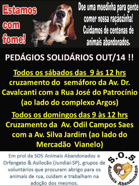 Feira e evento de adoção de cachorros e gatos em Jundiaí - São Paulo