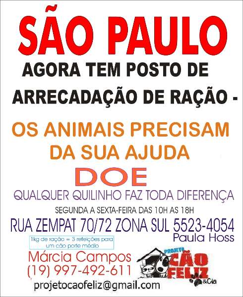 Feira e evento de adoção de cachorros e gatos - Amor e Cuidado Esperam Por Você no Evento de Adoção Animal em SP em São Paulo - São Paulo