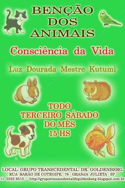 Feira e evento de adoção de cachorros e gatos em São Paulo - São Paulo