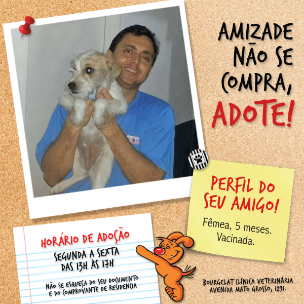 Feira e evento de adoção de cachorros e gatos - Encontre seu novo melhor amigo: Feira de Adoção em Campo Grande! em Mato Grosso do Sul - Campo Grande