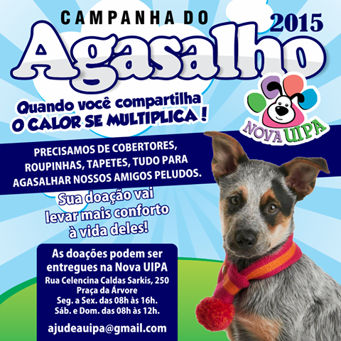 Feira e evento de adoção de cachorros e gatos em Itapira - São Paulo