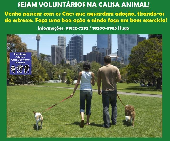Feira e evento de adoção de cachorros e gatos em Manaus - Amazonas