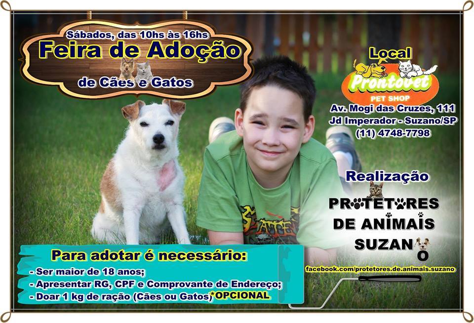 Feira e evento de adoção de cachorros e gatos em Suzano - São Paulo