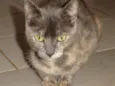 Vitória
