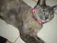 Vitória