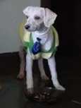 Boni