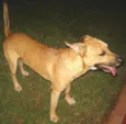 Encontrado Av.Zaran