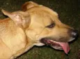 Encontrado Av.Zaran