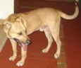 Encontrado Av.Zaran