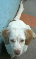 Encontrado