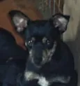 Kika - em tratamento
