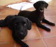Encontrados prox. E