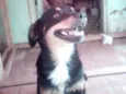 Encontrado nas Av.