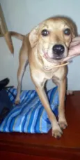 Larita