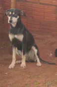 Neguinha