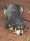 Neguinha