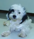 Menina