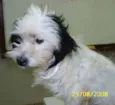 Menina