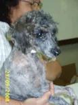 Encontrada !!!!