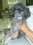 Encontrada !!!!
