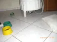 Frida