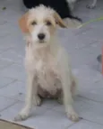 Bambina