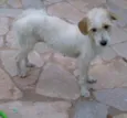 Bambina