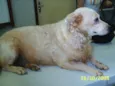 Encontrada!!!!